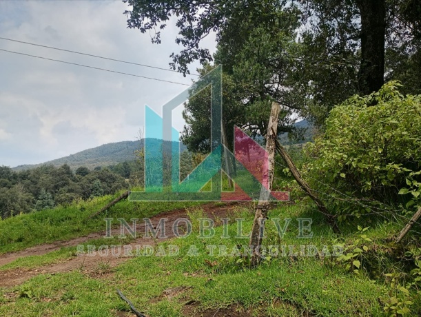 Paraje el Alcanfor, Jilotzingo, 54570, 0 , 0 ,0,Finca,En Venta,Paraje el Alcanfor,0,1023