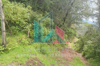 Paraje el Alcanfor, Jilotzingo, 54570, 0 , 0 ,0,Finca,En Venta,Paraje el Alcanfor,0,1023