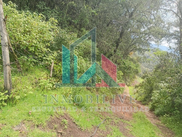 Paraje el Alcanfor, Jilotzingo, 54570, 0 , 0 ,0,Finca,En Venta,Paraje el Alcanfor,0,1023