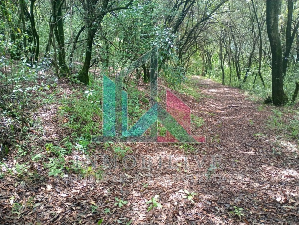 Paraje el Alcanfor, Jilotzingo, 54570, 0 , 0 ,0,Finca,En Venta,Paraje el Alcanfor,0,1023