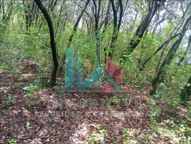 Paraje el Alcanfor, Jilotzingo, 54570, 0 , 0 ,0,Finca,En Venta,Paraje el Alcanfor,0,1023