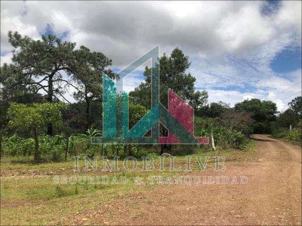 Simon De Guerrero, Temascaltepec, 51470, 0 , 0 ,0,Lote,En Venta,Simon De Guerrero,0,1025