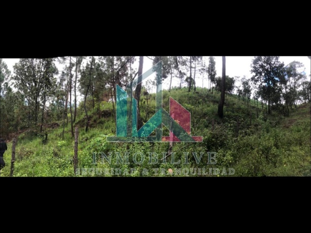 Simon De Guerrero, Temascaltepec, 51470, 0 , 0 ,0,Lote,En Venta,Simon De Guerrero,0,1025